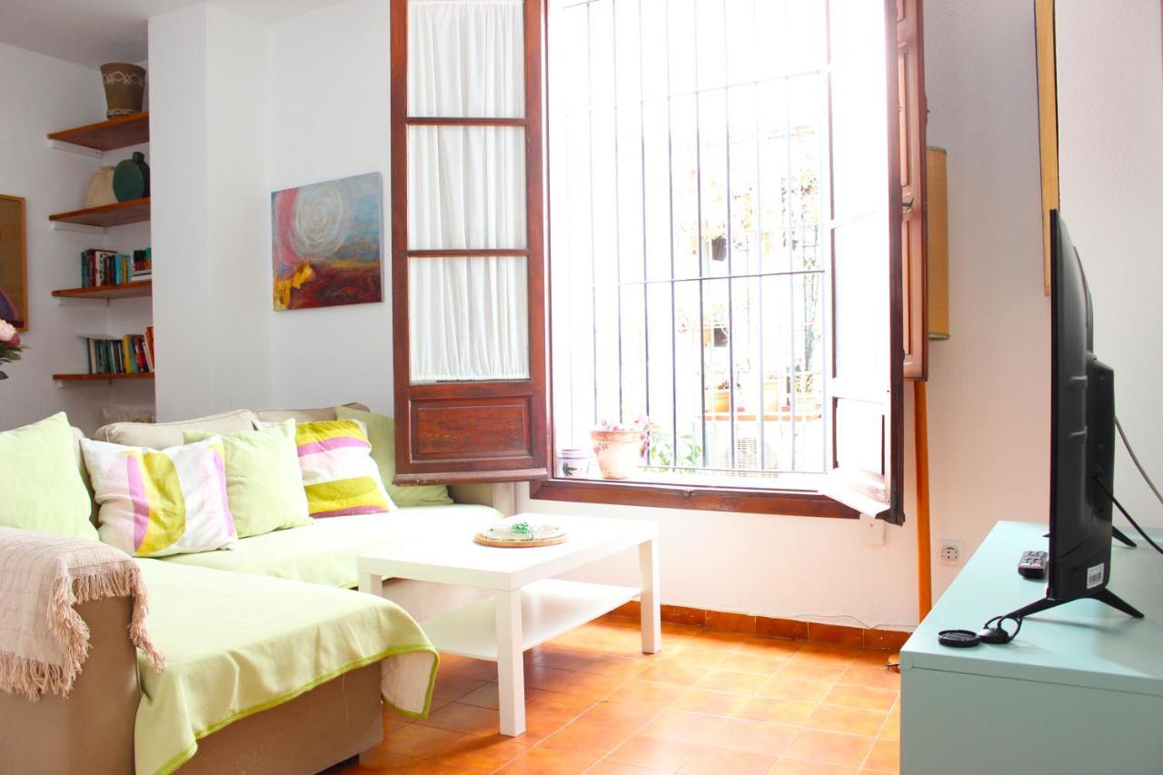 Duplex Acogedor Con Gran Terraza En Pleno Centro De Sevilla! Екстер'єр фото